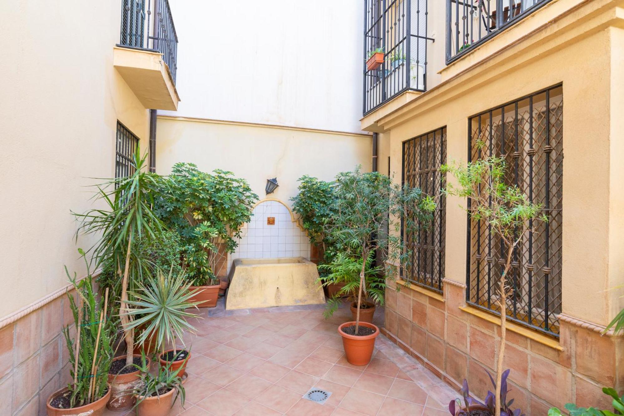 Apartment & Pool In Malaga City Center Extérieur photo